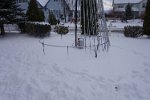 DSC00397 Snow around the pixel tree