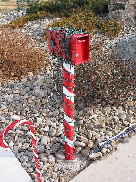 Nevada Christmas - Donation Box